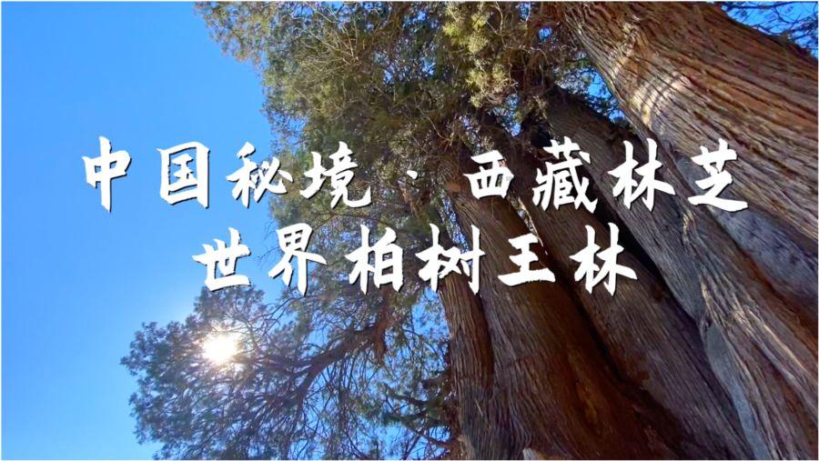【县区园地】修水县:一份跨越一百多公里的礼物